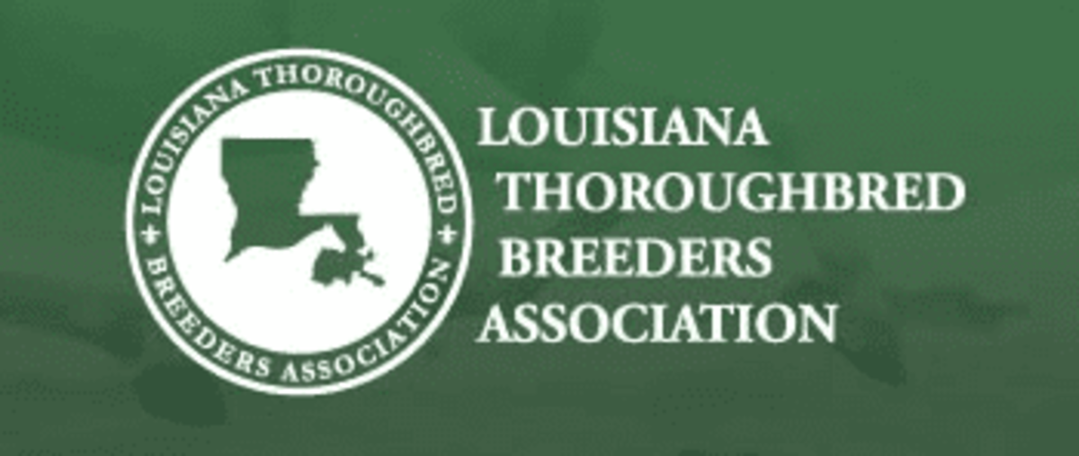 Louisiana Yearling And Mixed Sale Catalog Now Online Paulick Report