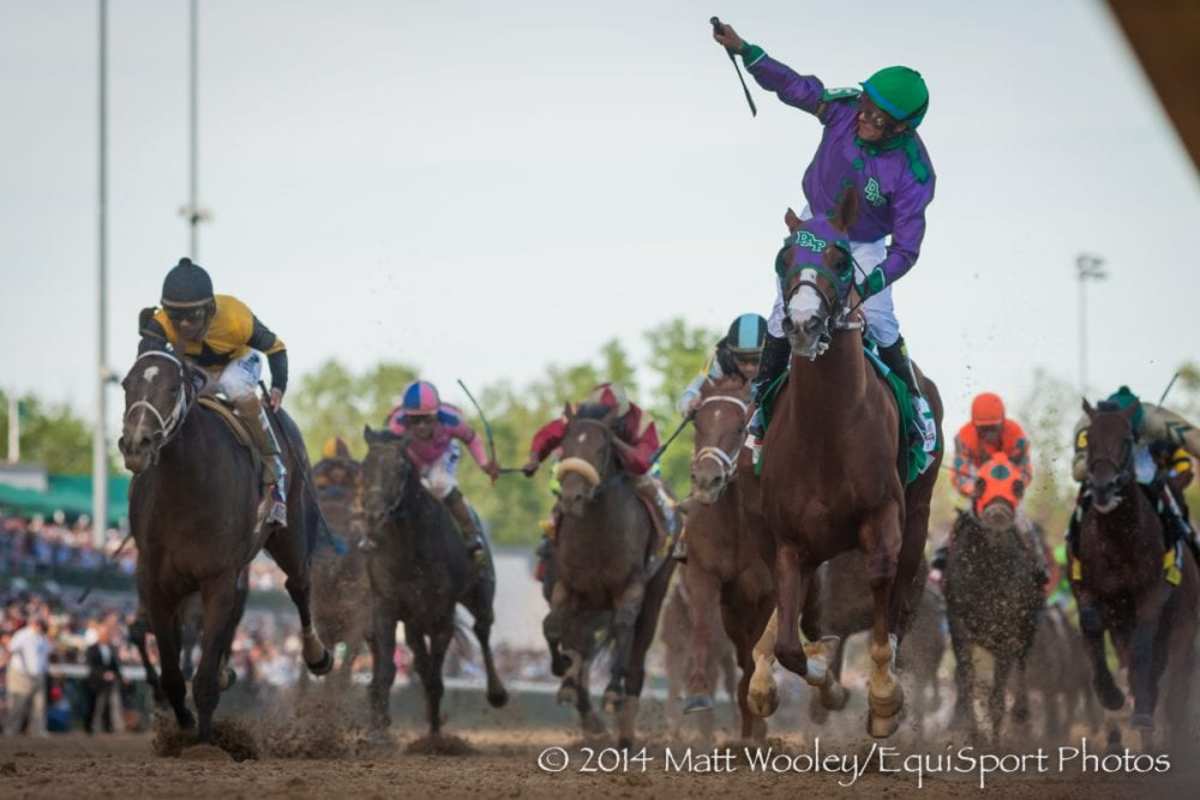 California Chrome Makes Magic in Derby Win - Paulick Report | Shining ...