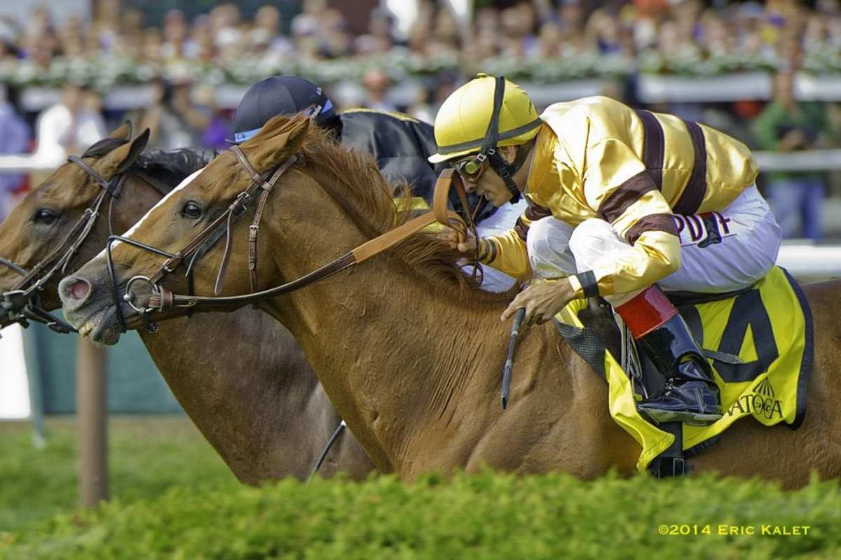 Wise Dan Makes Successful Comeback With Bernard Baruch Victory ...