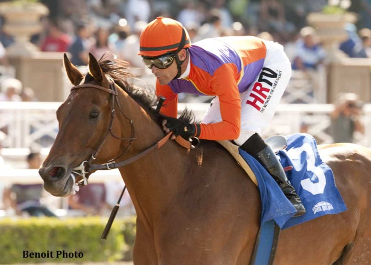 Champion Beholder Continues to Recover From Pastern Injury - Paulick ...