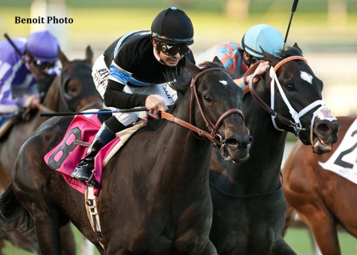 Shared Belief Triumphs in Malibu Paulick Report Shining Light on