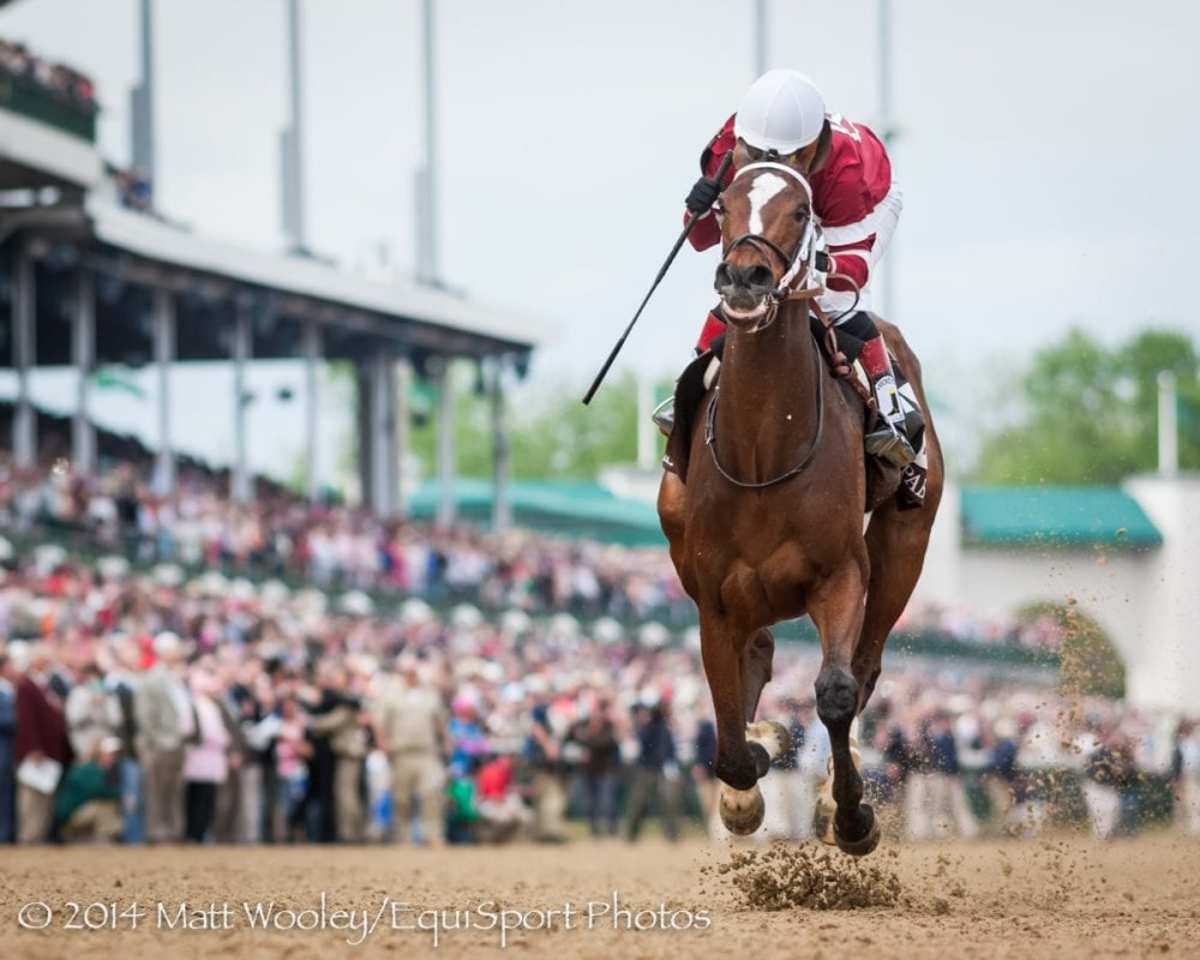 Tapit Offspring Providing Banner Year For Winchell Thoroughbreds