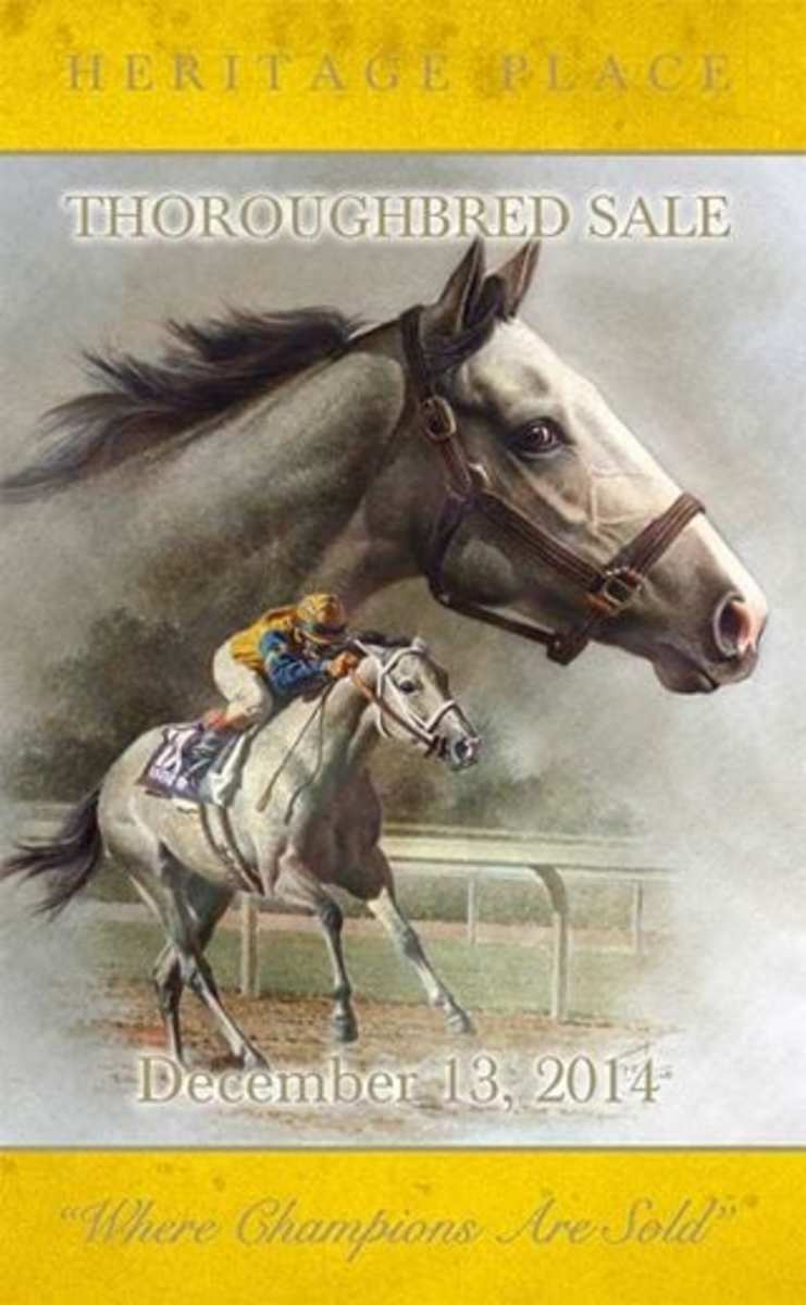 Heritage Place Thoroughbred Sale Catalog Now Online Paulick Report