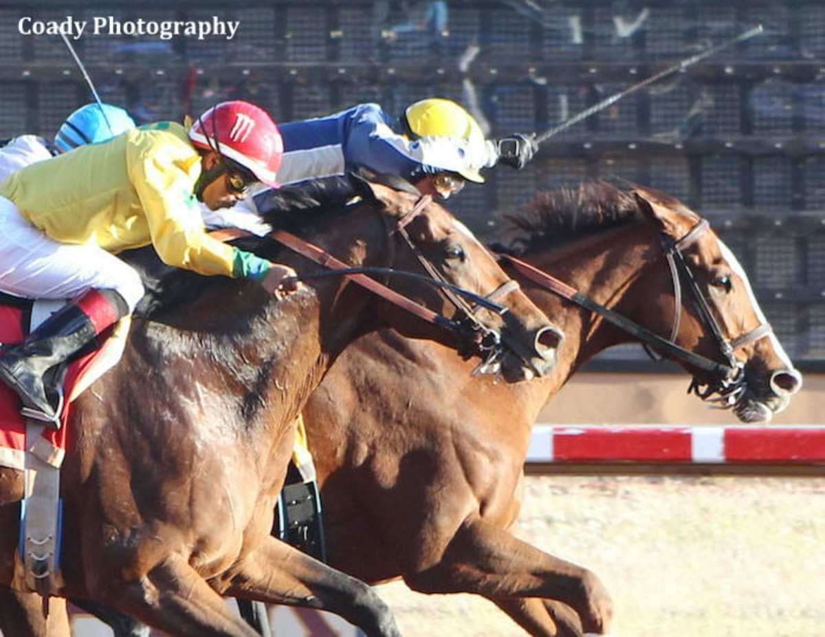 Zia Park Set For Mixed Thoroughbred/Quarter Horse Meet With Higher