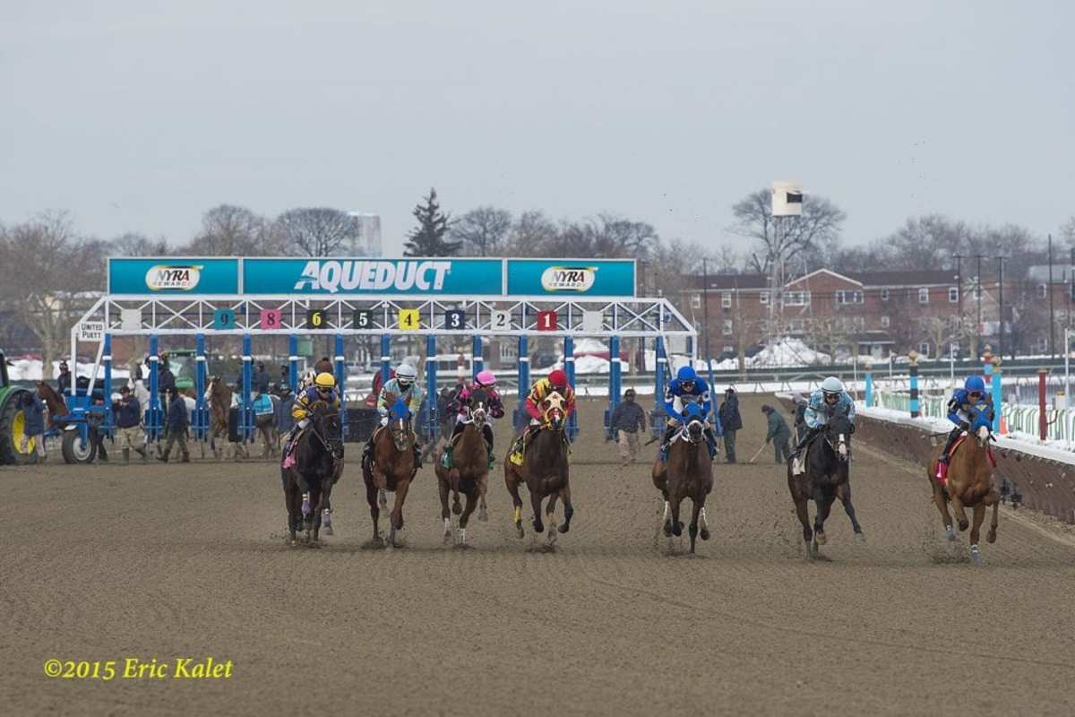 With severe winter weather forecasted nyra cancels live racing for feb