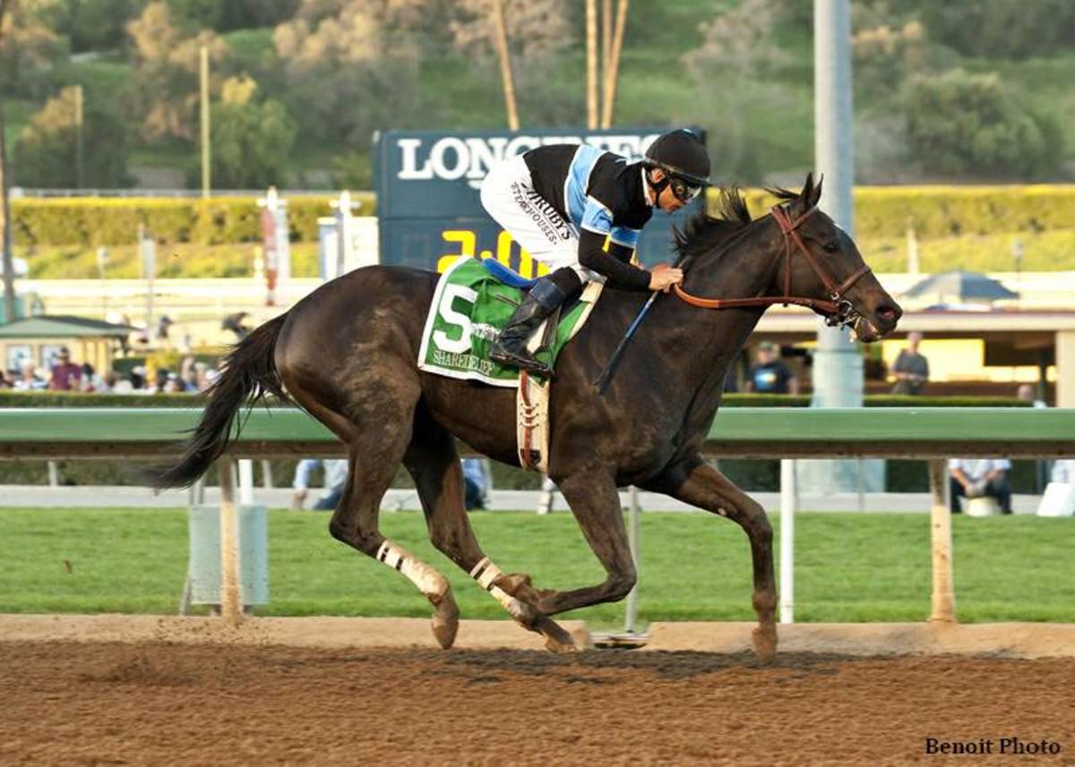 Shared Belief Tops Early Longines World s Best Racehorse Rankings