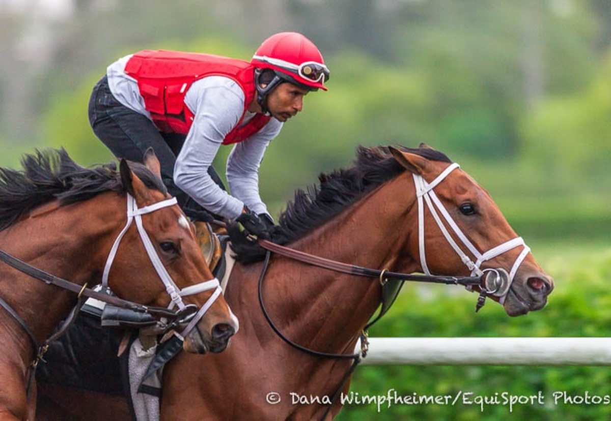 Report: Three Pletcher Horses Remain Unconfirmed For Derby - Paulick ...