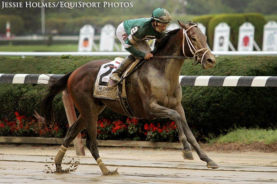 Zoetis Presents Bloodlines: A Mare That Knows The 'Code' - Paulick ...