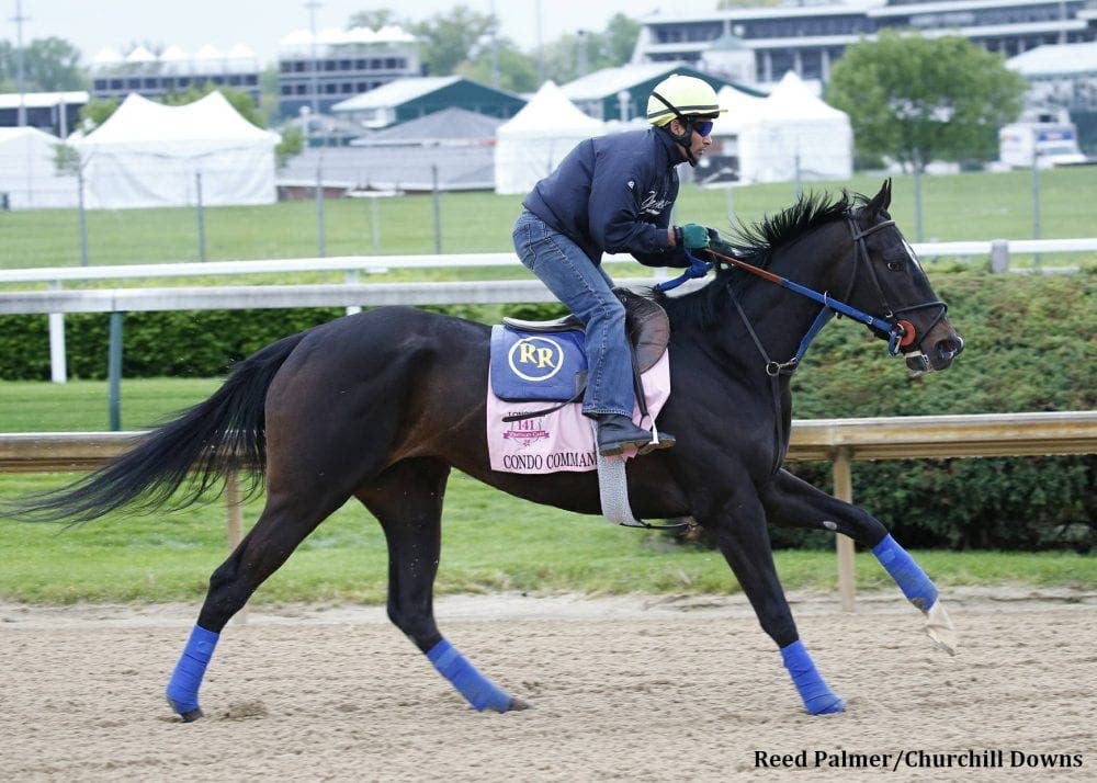 Photo inspiration: Ky Oaks News Notes Thursday April 23 Paulick Report Photo Inspiration