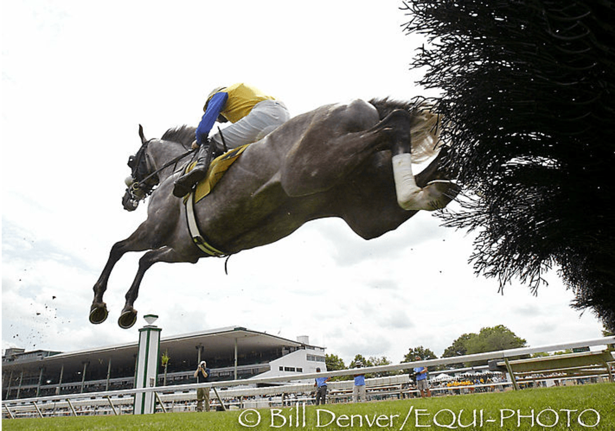 Steeplechase: International Gold Cup Will Be Livestreamed On Oct. 24 ...