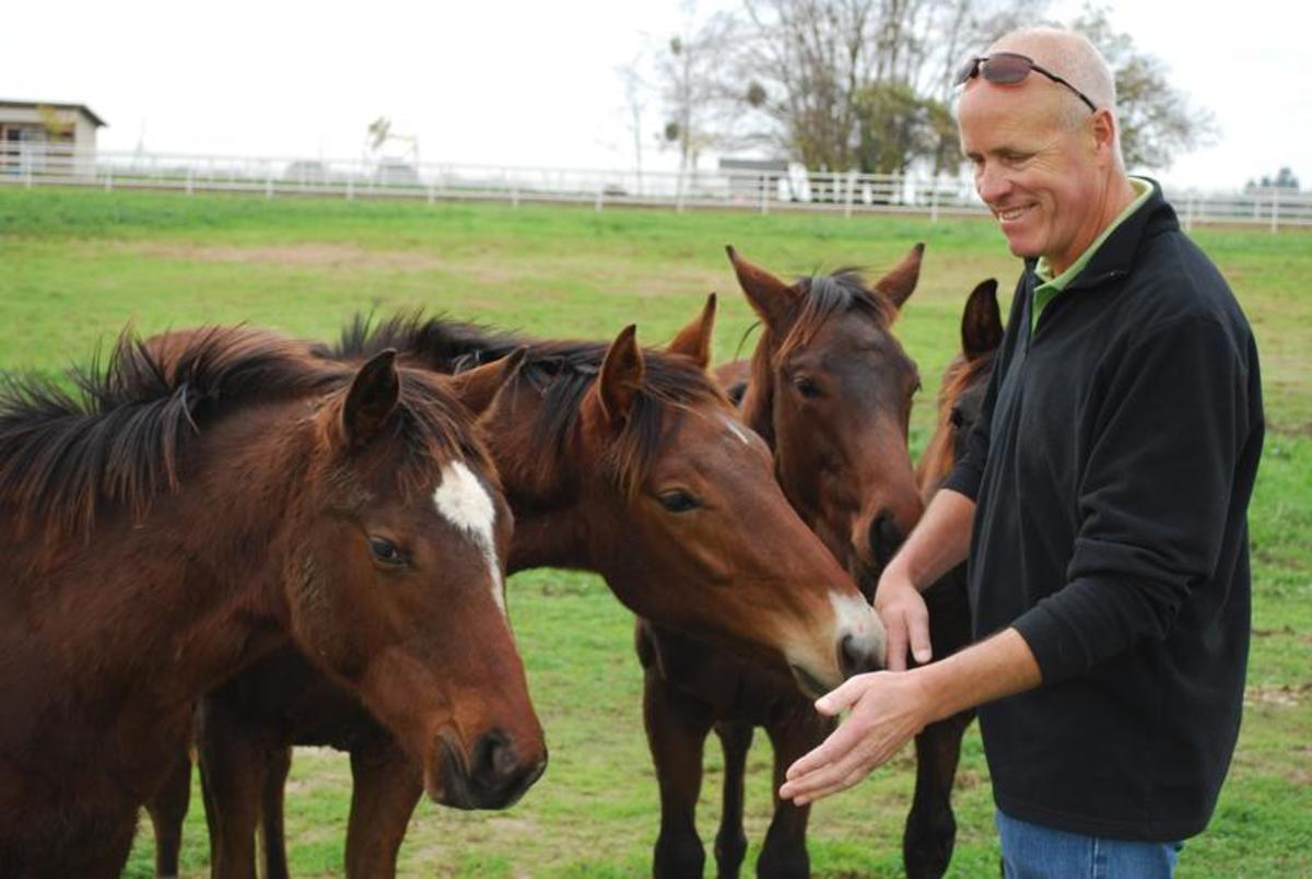 Breeders’ Cup Presents Connections: Stormy Lucy Has Stretch Drive And ...