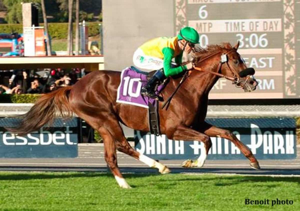 Om Proves Best In Mathis Brothers Mile Paulick Report Shining Light on the Horse Industry