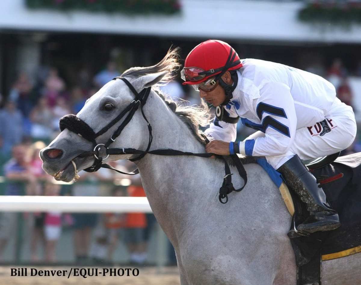 pegasus airlines jordan