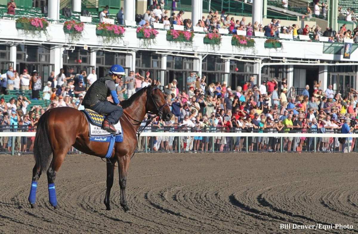 Equibase Analysis Can Anyone Spoil American Pharoah's Return? Paulick Report Shining Light