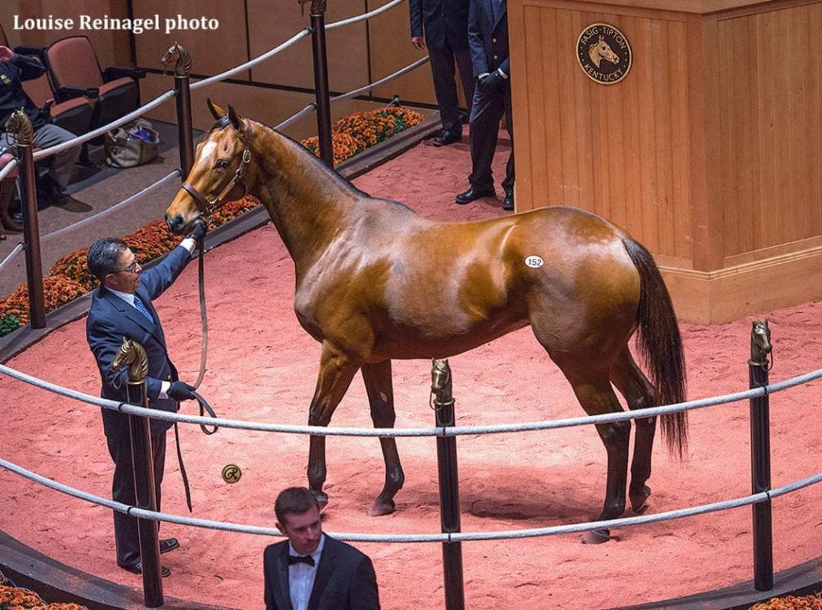 3Million Angela Renee Tops 'Rational' FasigTipton November Sale