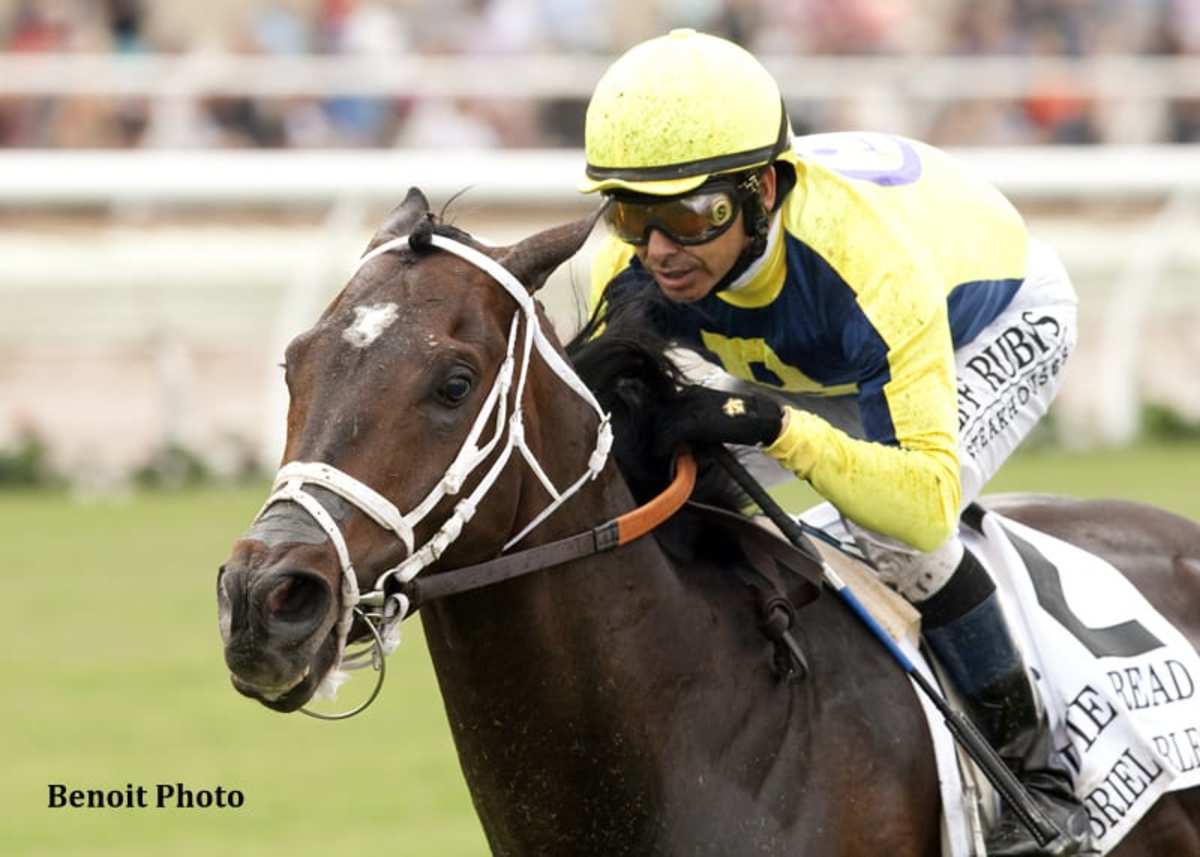 Grade 1 Winner Gabriel Charles Undergoes Colic Surgery - Paulick Report ...