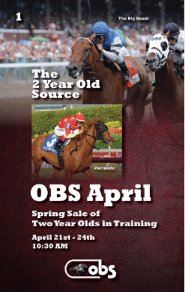 OBS Spring Under Tack Show Begins Monday Paulick Report Shining