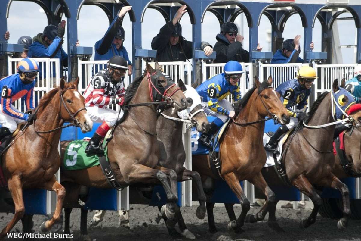 Woodbine Releases 2016 Stakes Schedule; Queen's Plate Slated For July 3