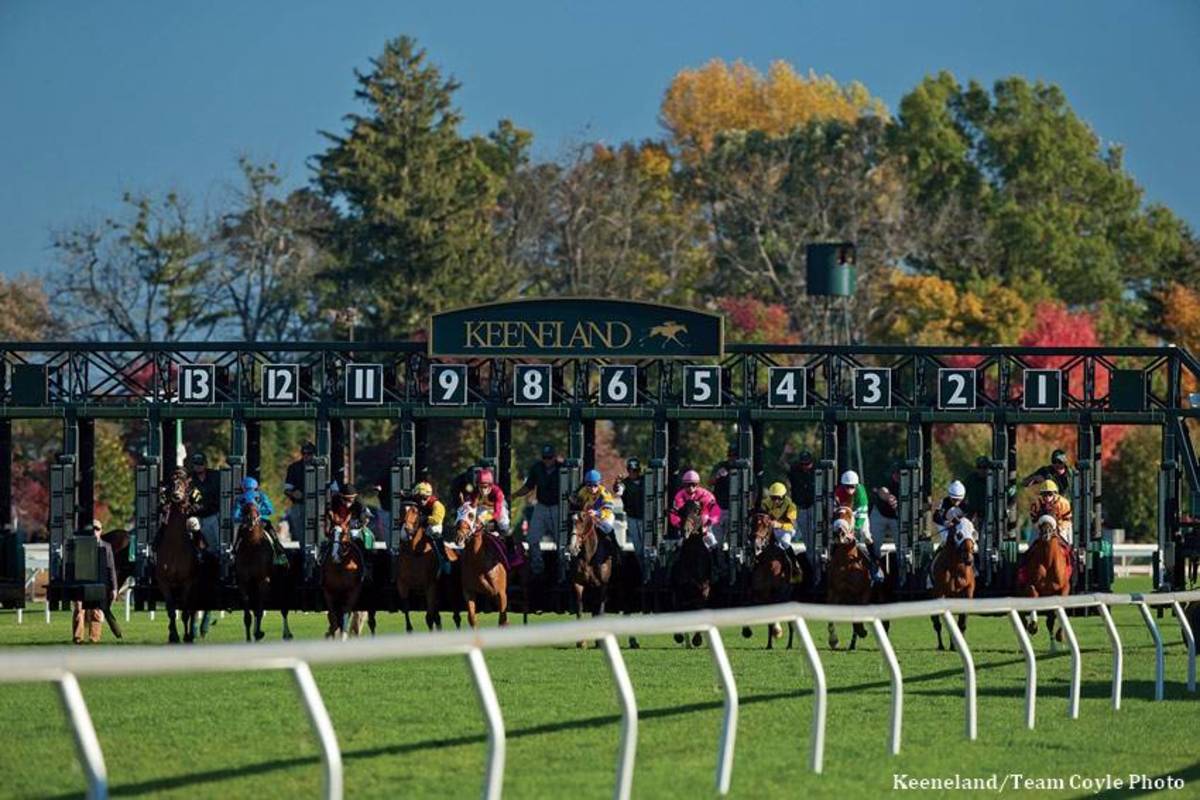 Keeneland's Fall Meet Posts DoubleDigit Gains In Handle And Attendance