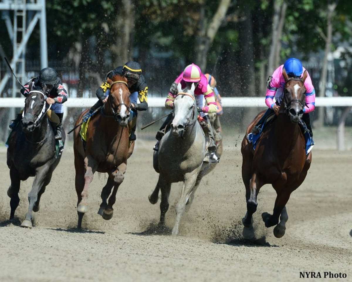 La Verdad Goes Gate To Wire In Honorable Miss Paulick Report Shining Light on the Horse Industry