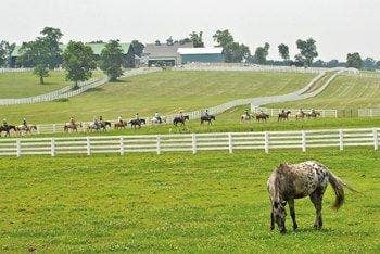 Kentucky Horse Park Bill Passes Legislature, Heads To