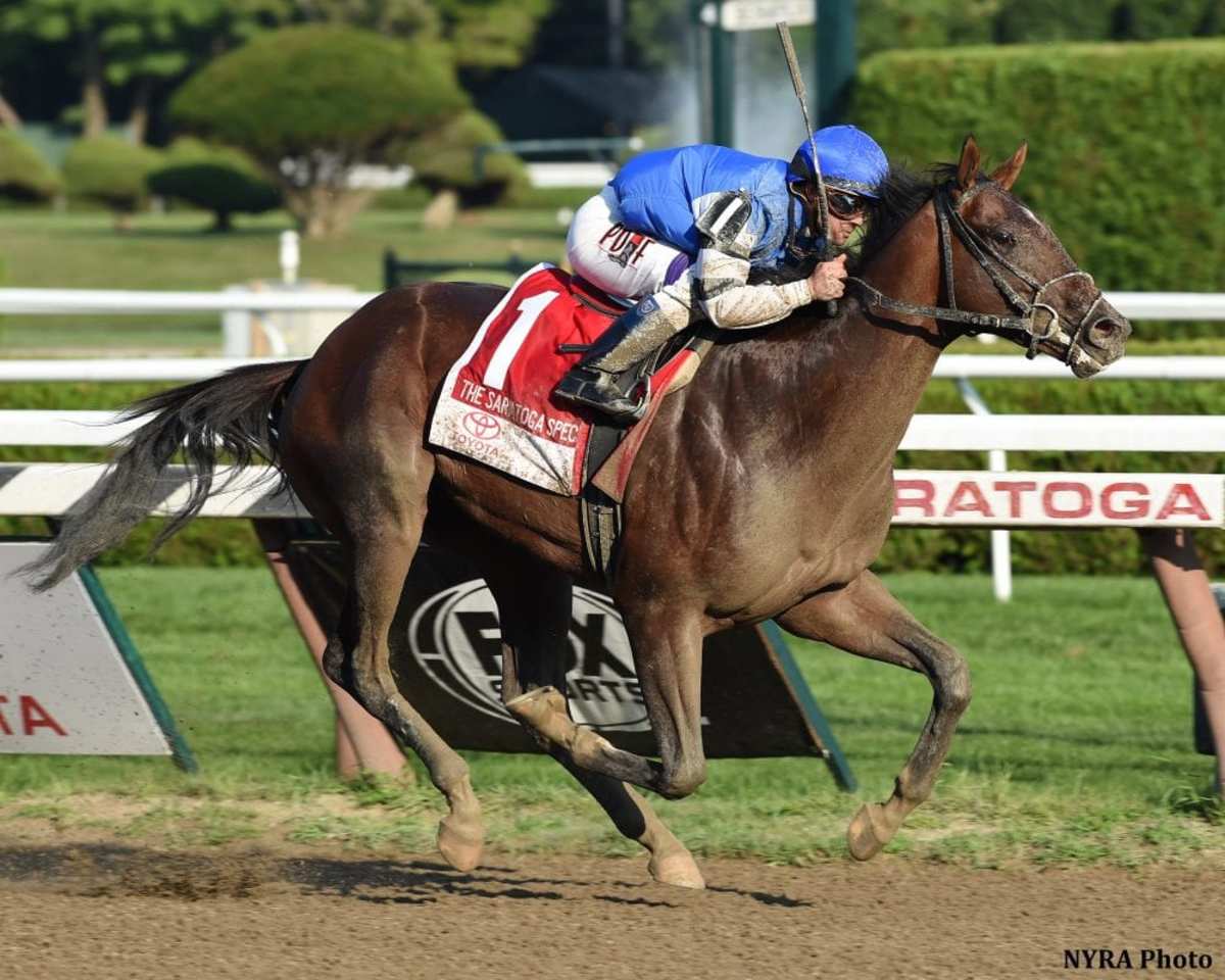 Saratoga Special Winner I Spent It Joins Ocala Stud Roster - Paulick ...