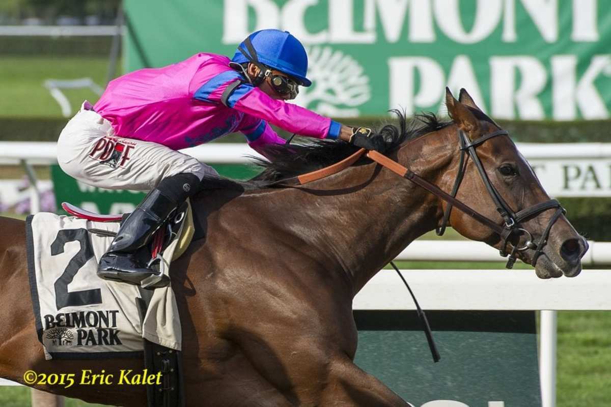 La Verdad Eyes Possible Start In G2 Fall Highweight Against The Boys Paulick Report Shining