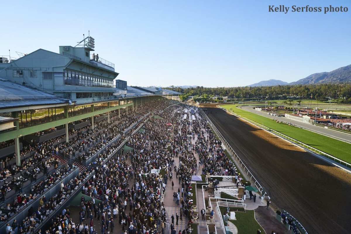 Single Ticket Takes Down Santa Anita Pick Six Paulick Report Shining Light on the Horse Industry
