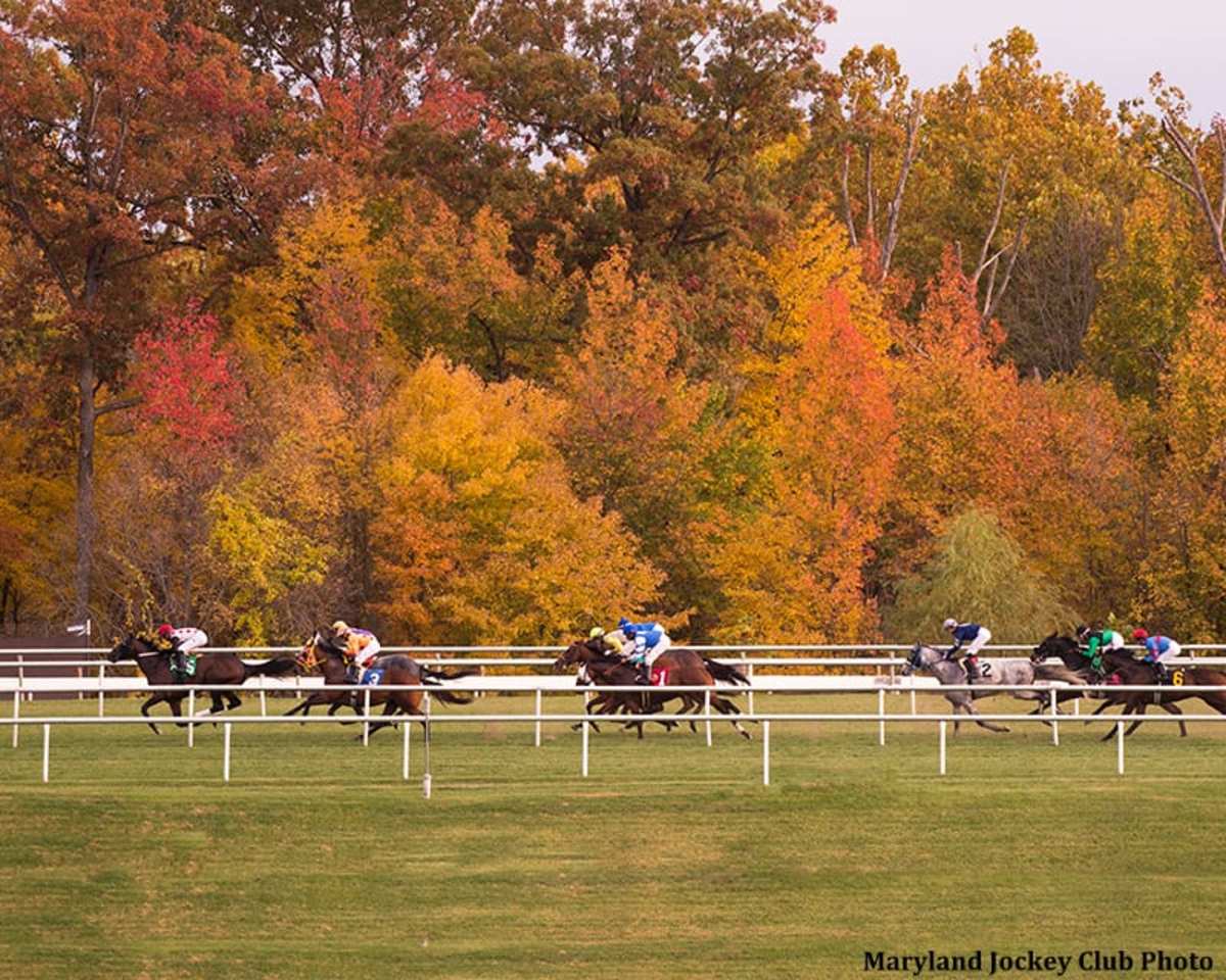 Columbus Day Card Kicks Off Laurel Park's New Monday Schedule Paulick