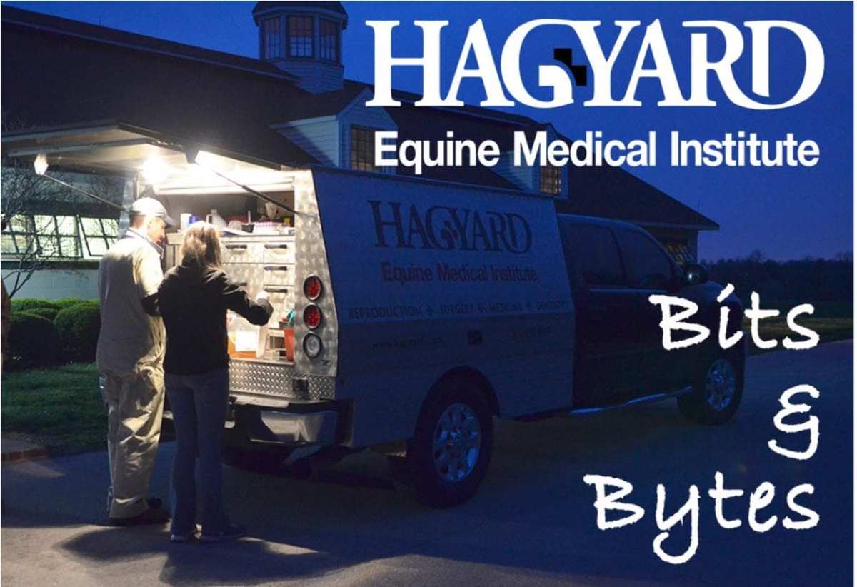 The Difference Between Tranquilizers and Sedatives Paulick Report Shining Light on the Horse