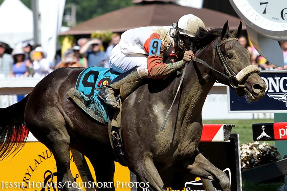 Irish Jasper Rallies Up Rail For Miss Preakness Score Paulick Report