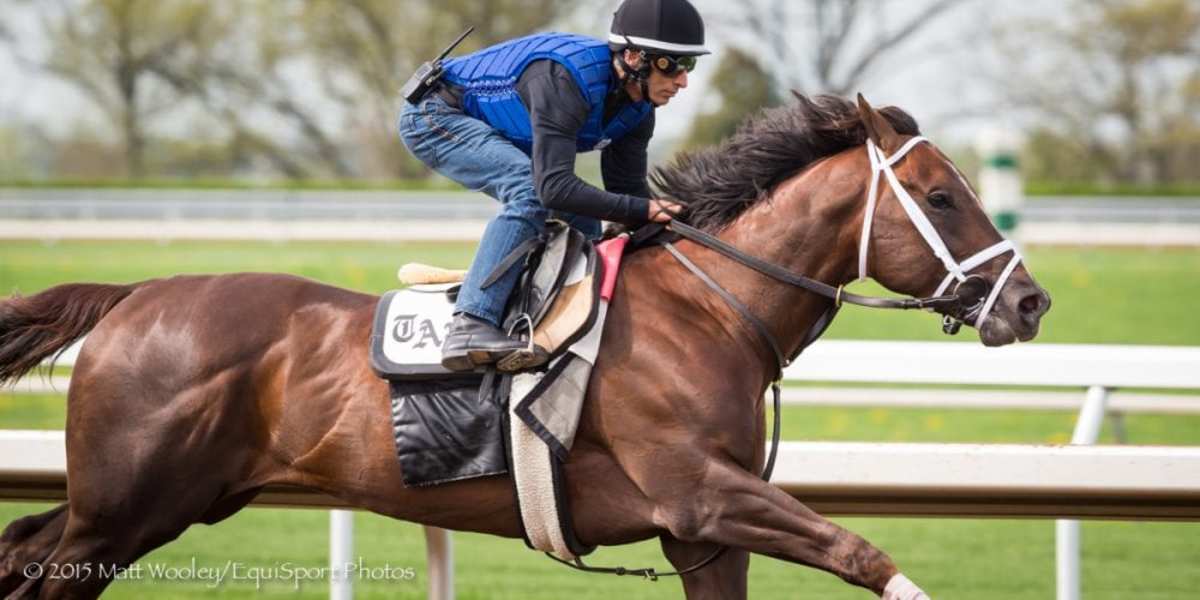 Carpe Diem To Skip Preakness, Aim For Belmont - Paulick Report ...