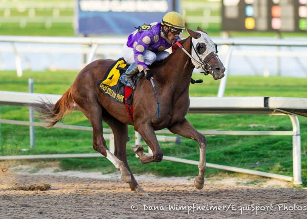 Fellowship, Flora Dora Capture Florida Sire Stakes Events Paulick