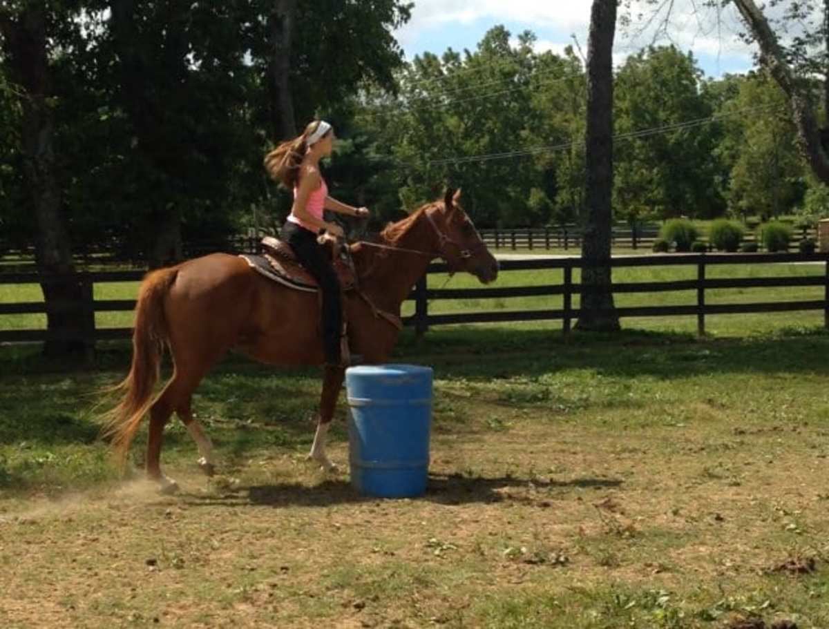 Cosequin Presents OTTB Showcase: Keeping Things Grounded - Paulick Report |  Latest news and commentary from the horse racing and equine world, image size:1200x911