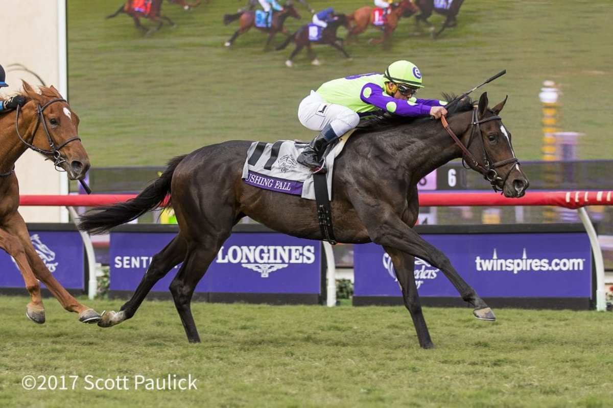 Bloodlines Breeders' Cup Results Show Respect For Older Sires