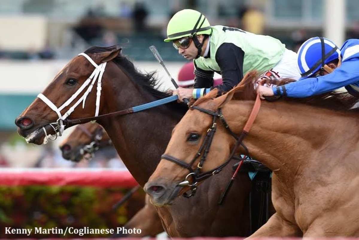 Equibase Analysis Gulfstream Park Turf Handicap Features Top Three From Fort Lauderdale