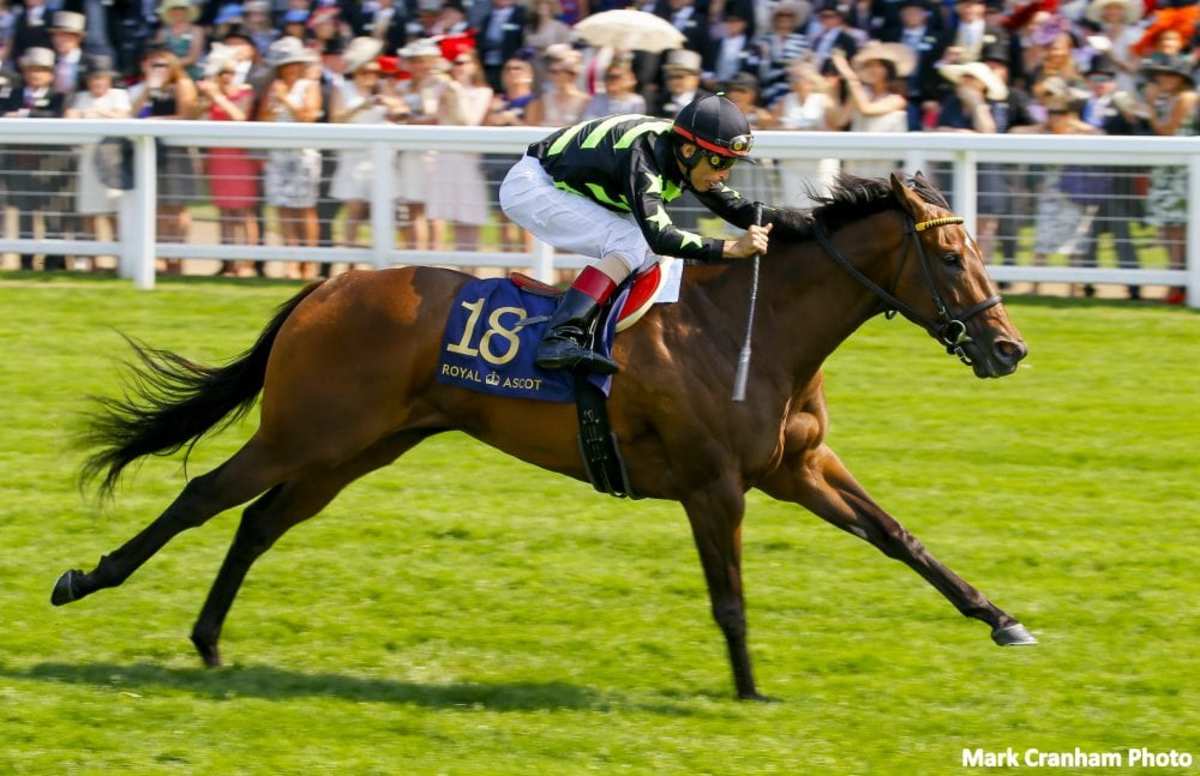 Lady Aurelia's Royal Ascot Victory Rated Best King's Stand Performance