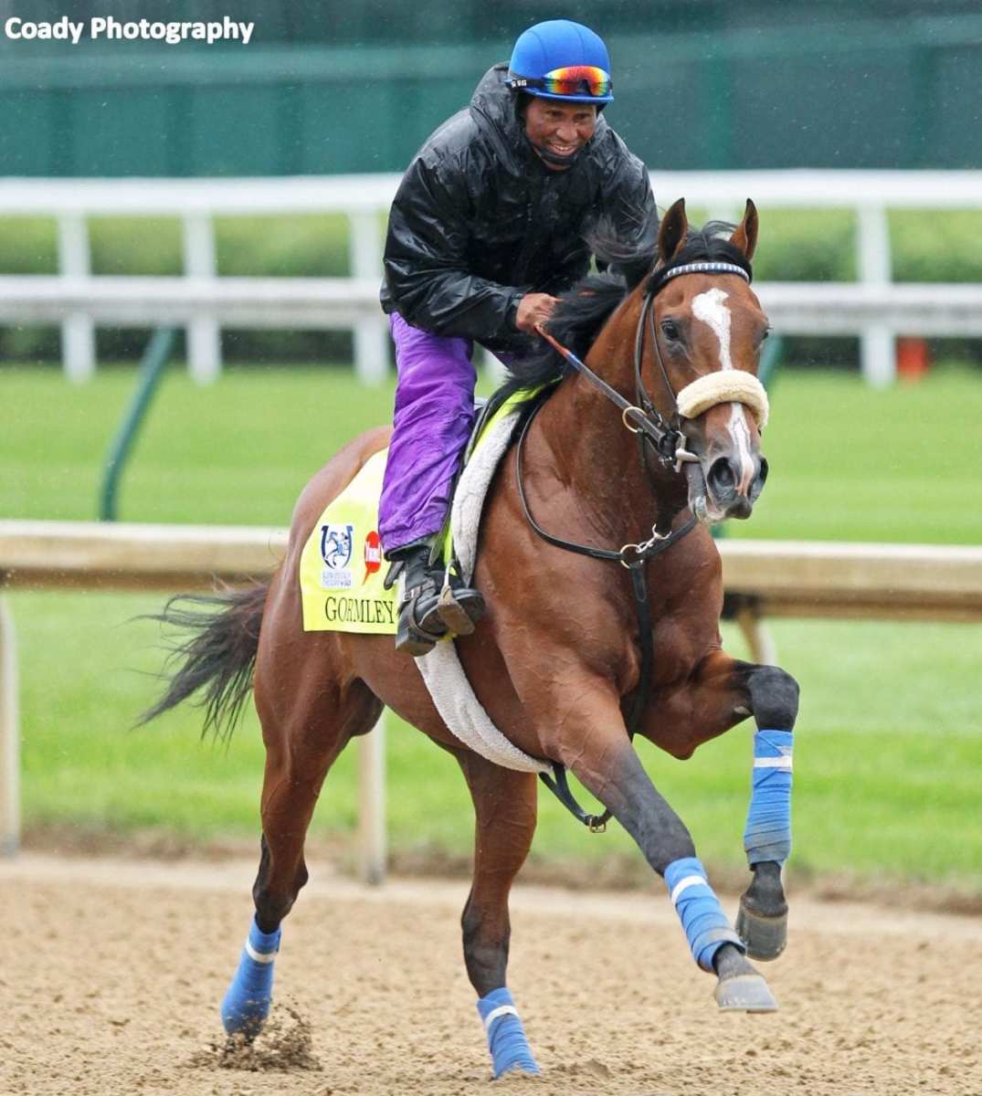 First Mare Confirmed In Foal To Spendthrift Farm's Gormley Paulick