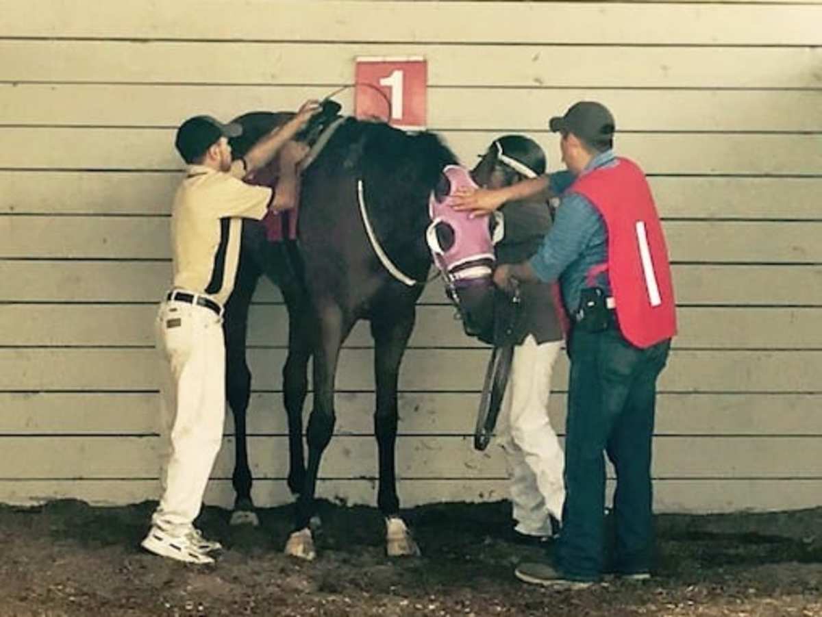 Jockey, Valet, And A Whole Lot More Rechy Defines Hard Work At Indiana