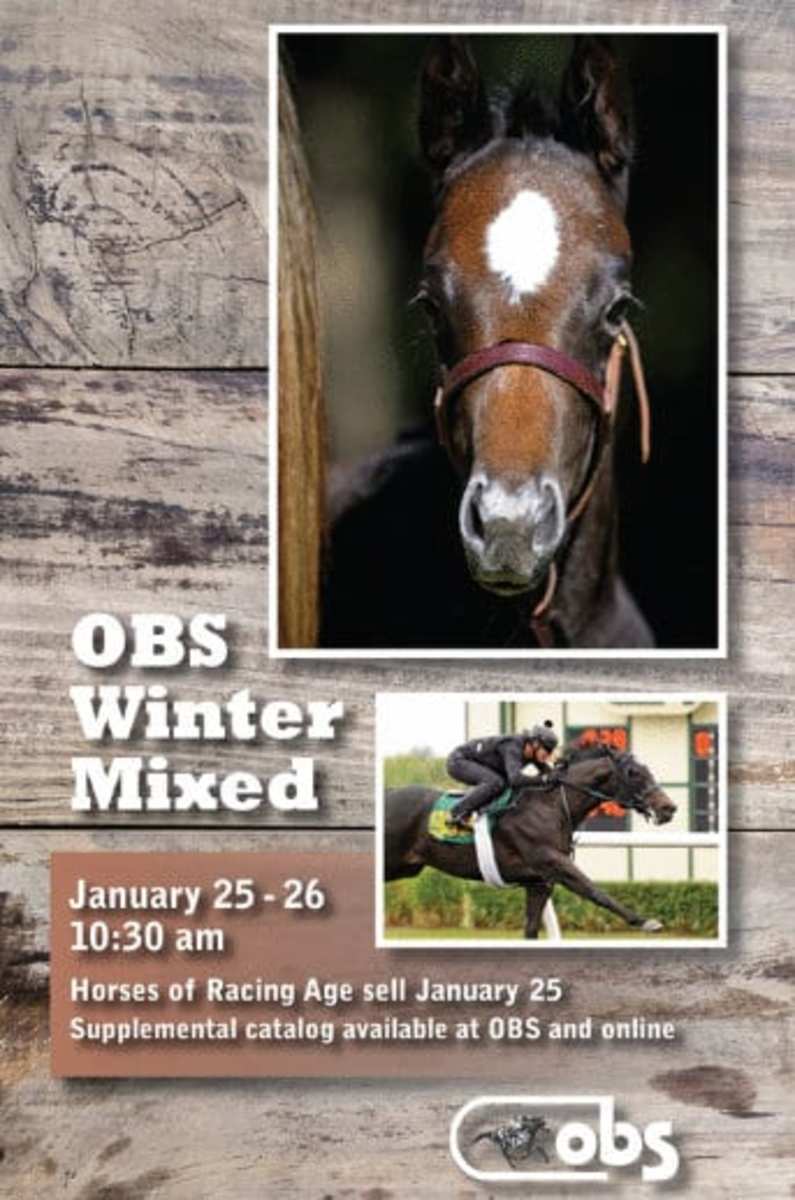 OBS Winter Mixed Sale Under Tack Show Set For Jan. 23 Paulick Report