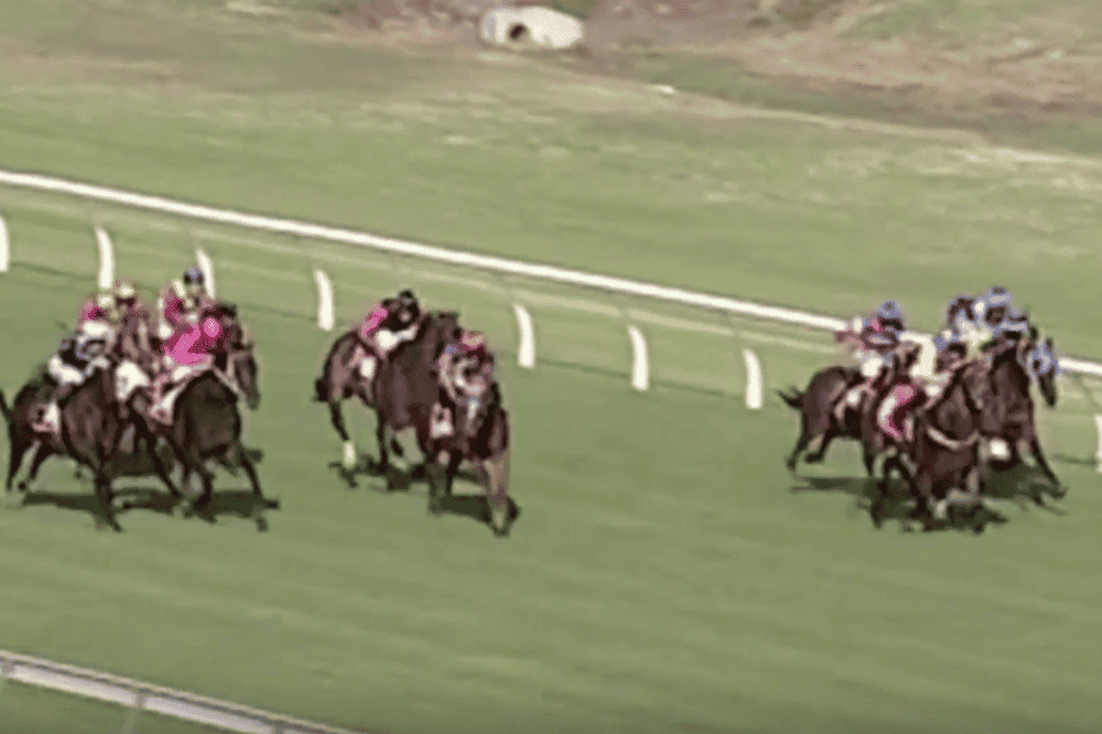 Jay Cartwright Racing Driver Australia: Jockey Charges At Other Horses While Girlfriend Wins Race ...