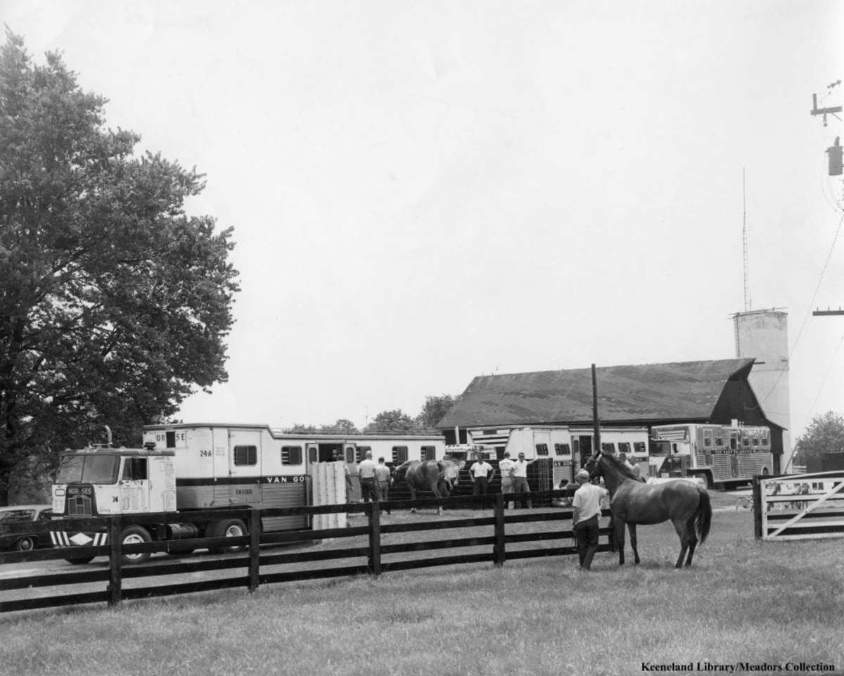 Kentucky Farm Time Capsule: Mereworth Farm - Paulick Report | Latest news  and commentary from the horse racing and equine world