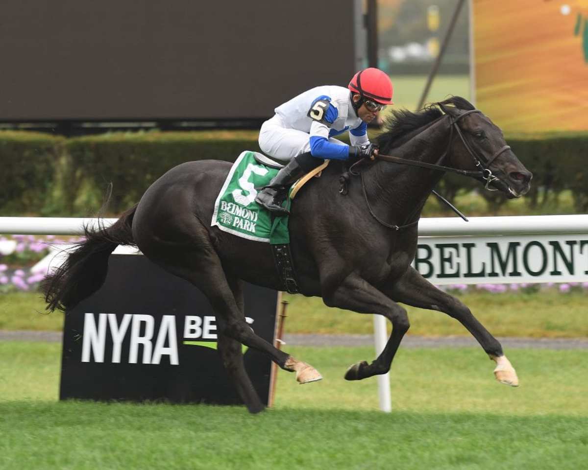 Blacktype Puts It All Together For Knickerbocker Victory Paulick