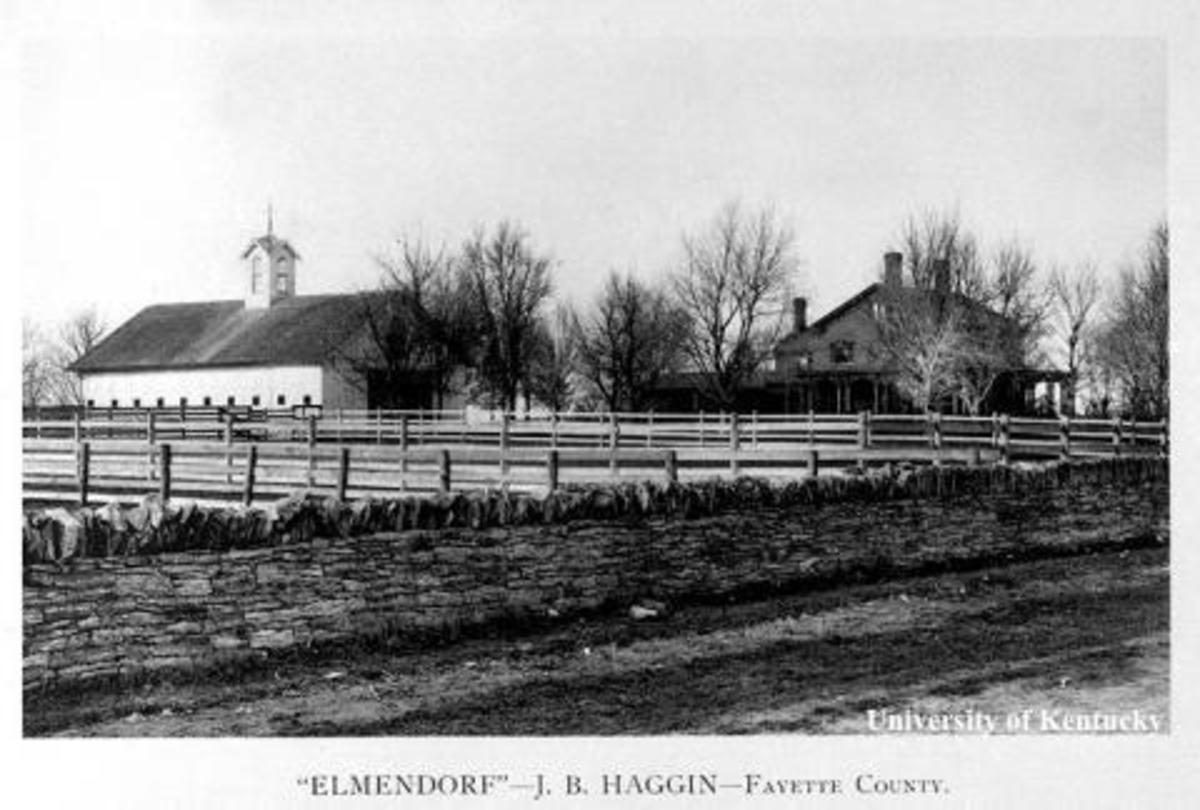 Kentucky Farm Time Capsule Elmendorf Farm Paulick Report Shining