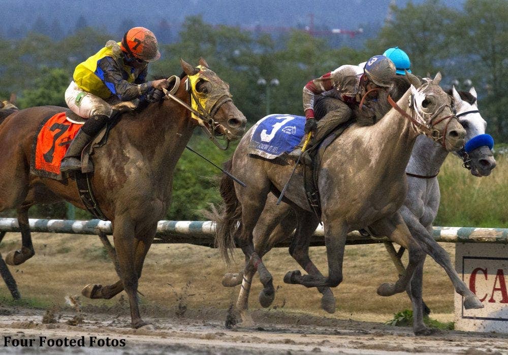 Derby Echo? Two Years Later, Judge Changes Result Of Canadian Graded ...