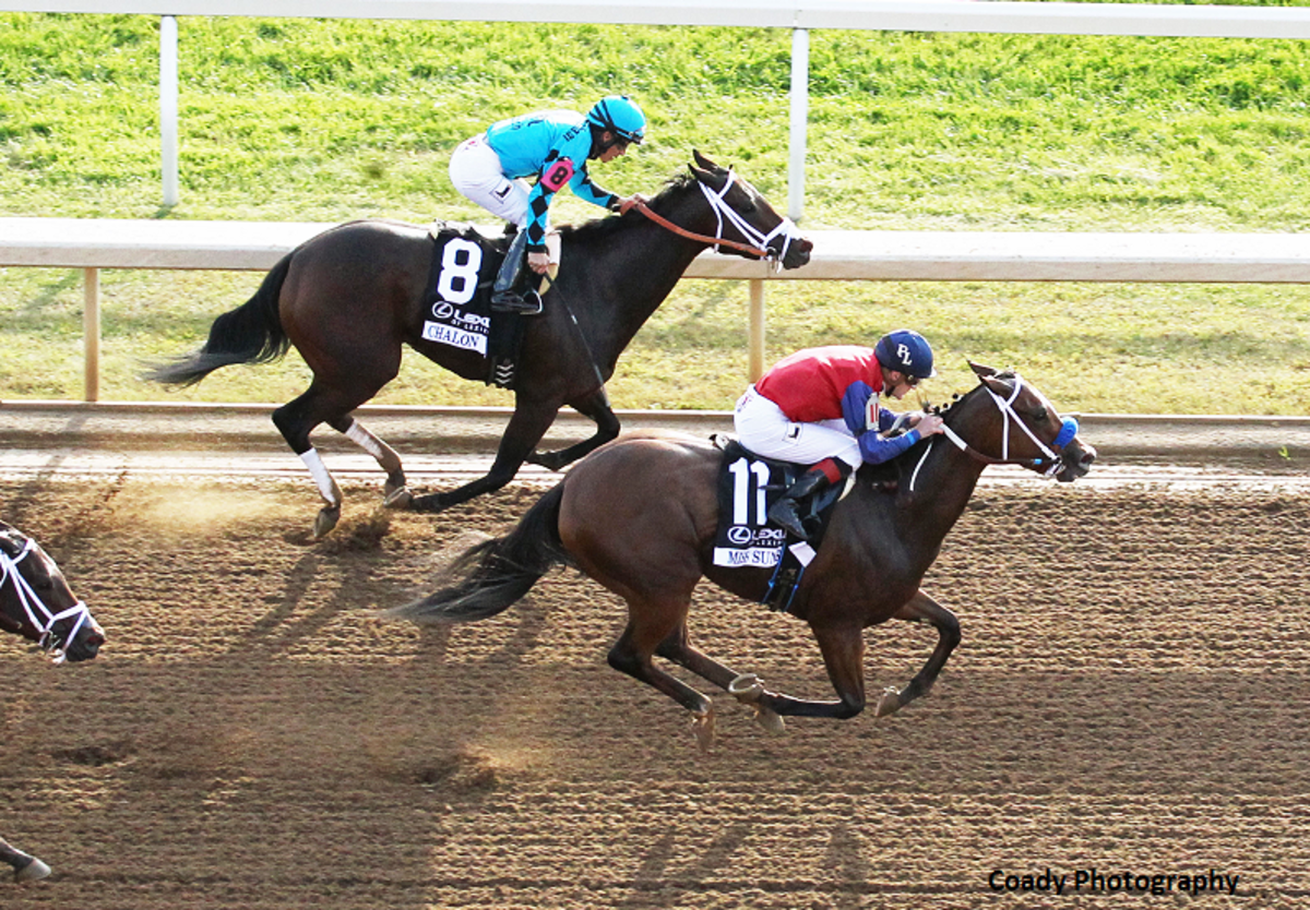 Miss Sunset Defeats Game Chalon In Lexus Raven Run - Paulick Report |  Shining Light on the Horse Industry