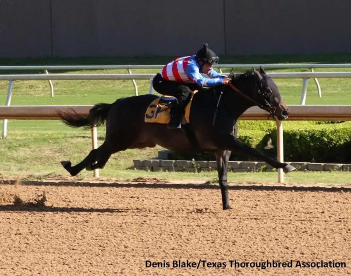 Redding Colliery Colt Posts Fastest Eighth At Rescheduled Texas 2-Year ...