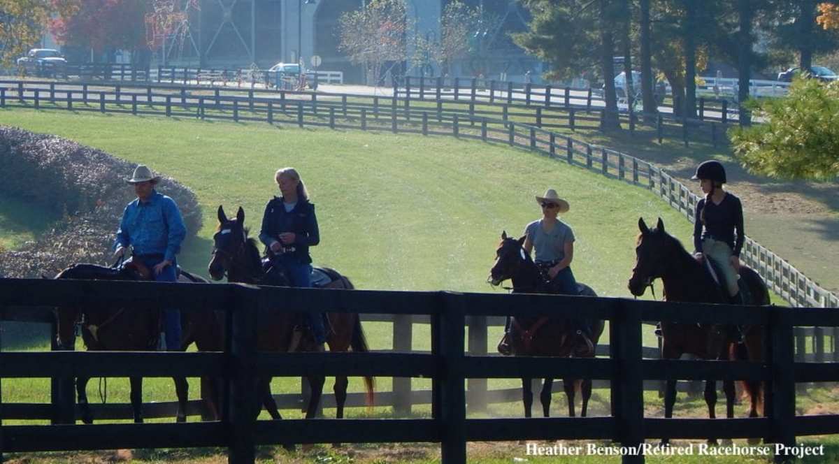 Thoroughbred Aftercare Alliance To Highlight Retired Racehorse Issues At Equestricon Paulick