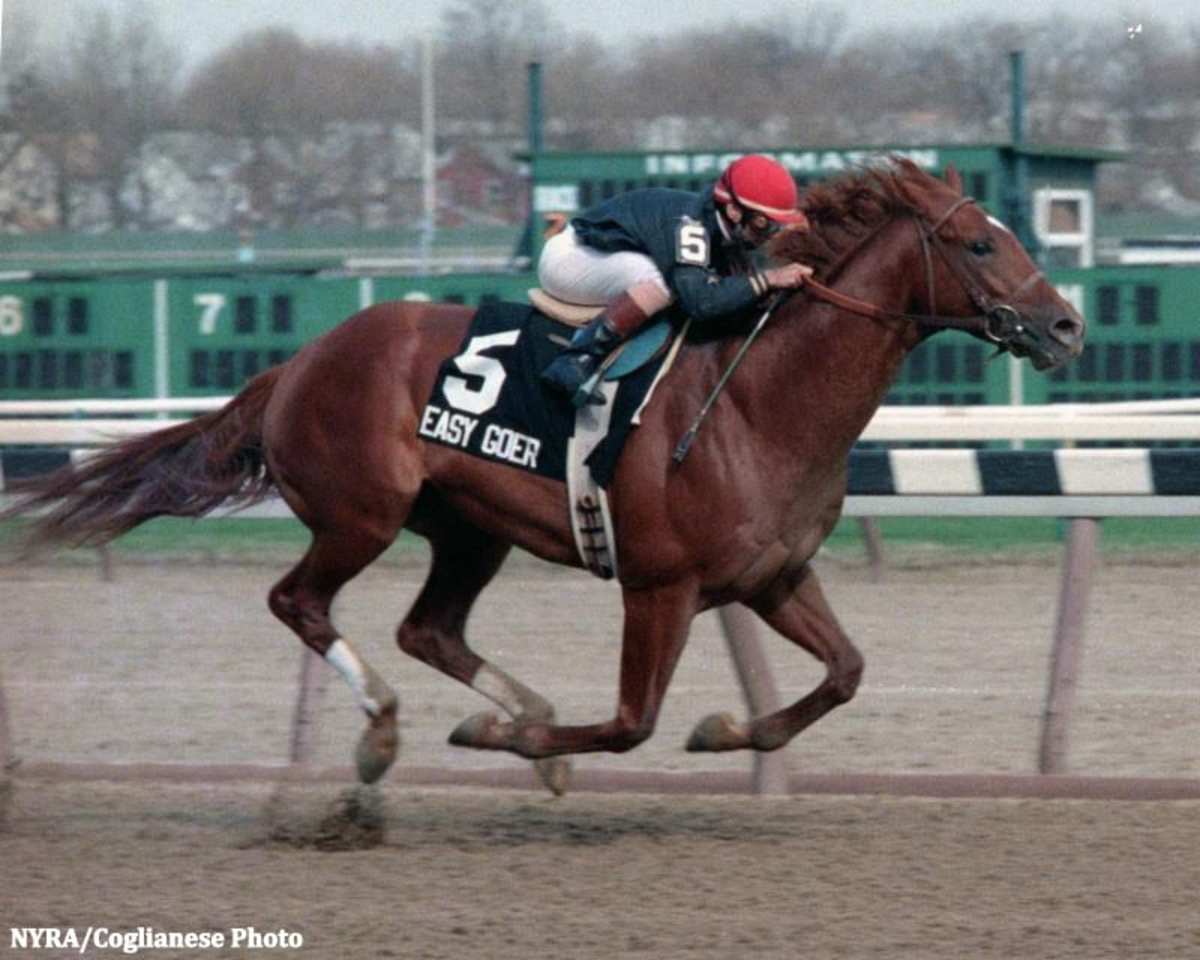 1989 Gotham Stakes Launching Pad For Easy Goer's Memorable 3-Year-Old ...