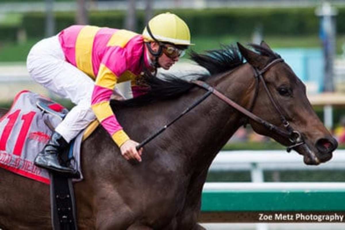 Wild At Heart Easily Takes OffTurf Buena Vista Paulick Report